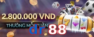 dr88