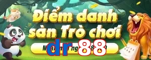 dr88
