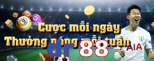 dr88